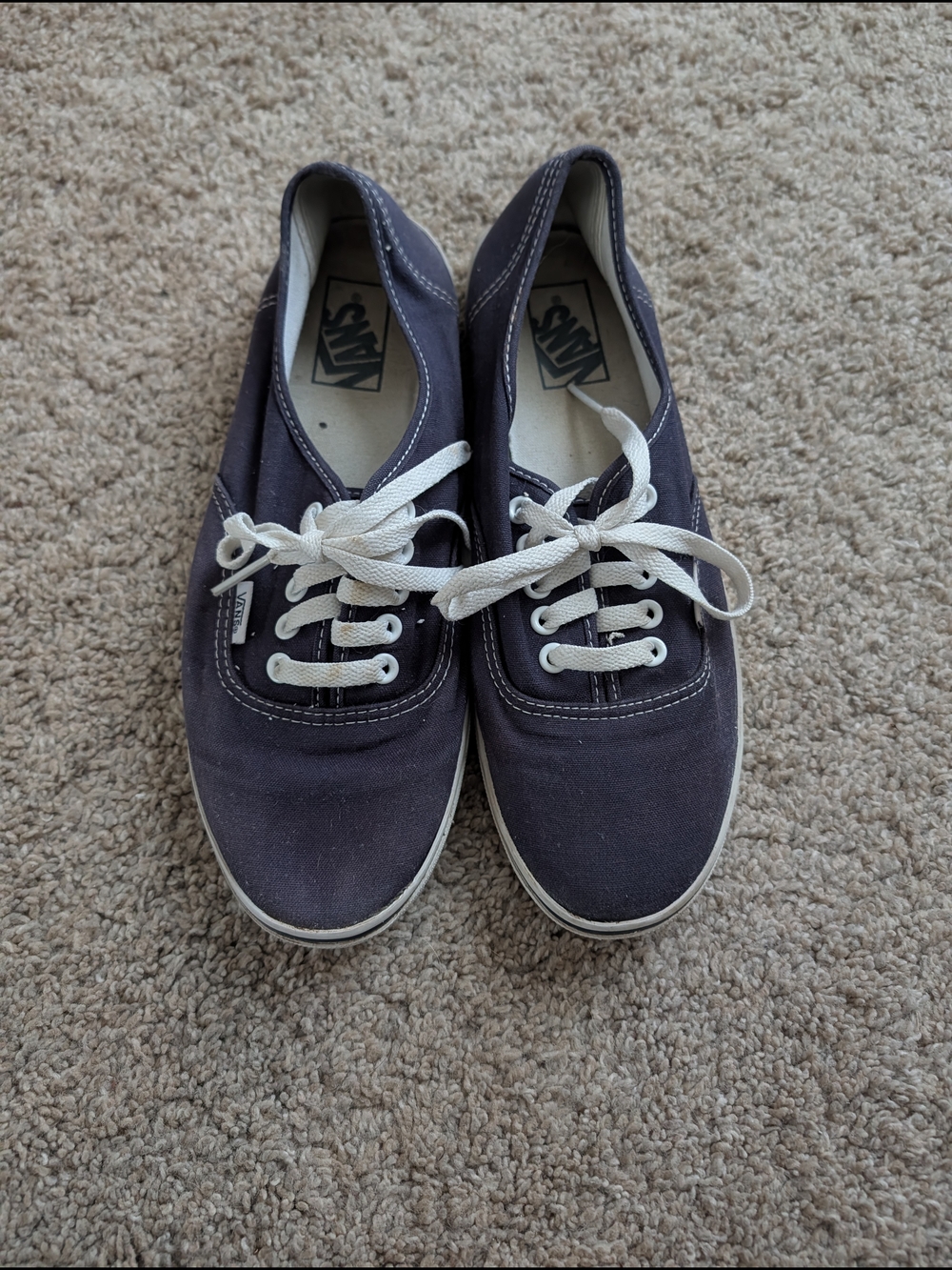 Vans Canvas Sneakers in Dark Blue with White Laces